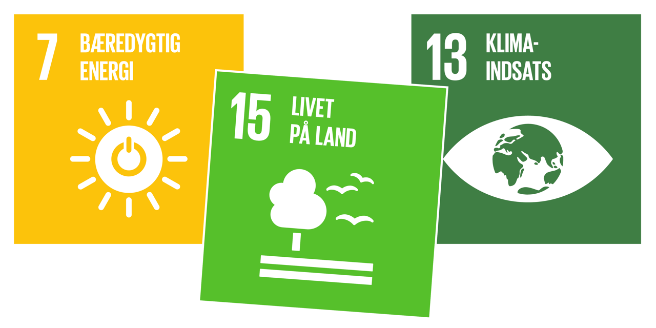 Verdensmålene for fokuspunktet energi er: verdensmål 7: bæredygtig energi, verdensmål 13: klimaindsats, verdensmål 15: livet på land.