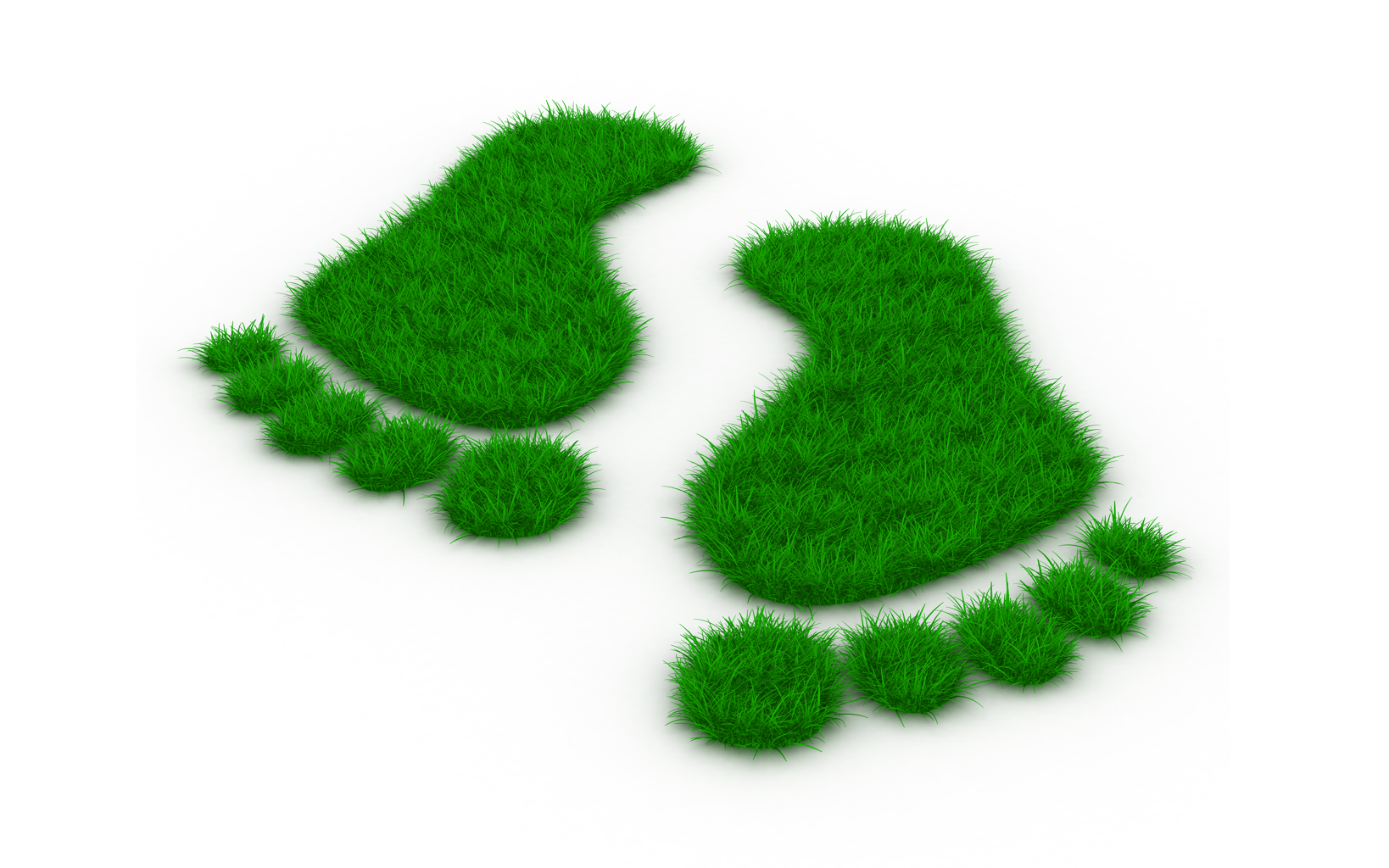 Topbillede - Green Steps