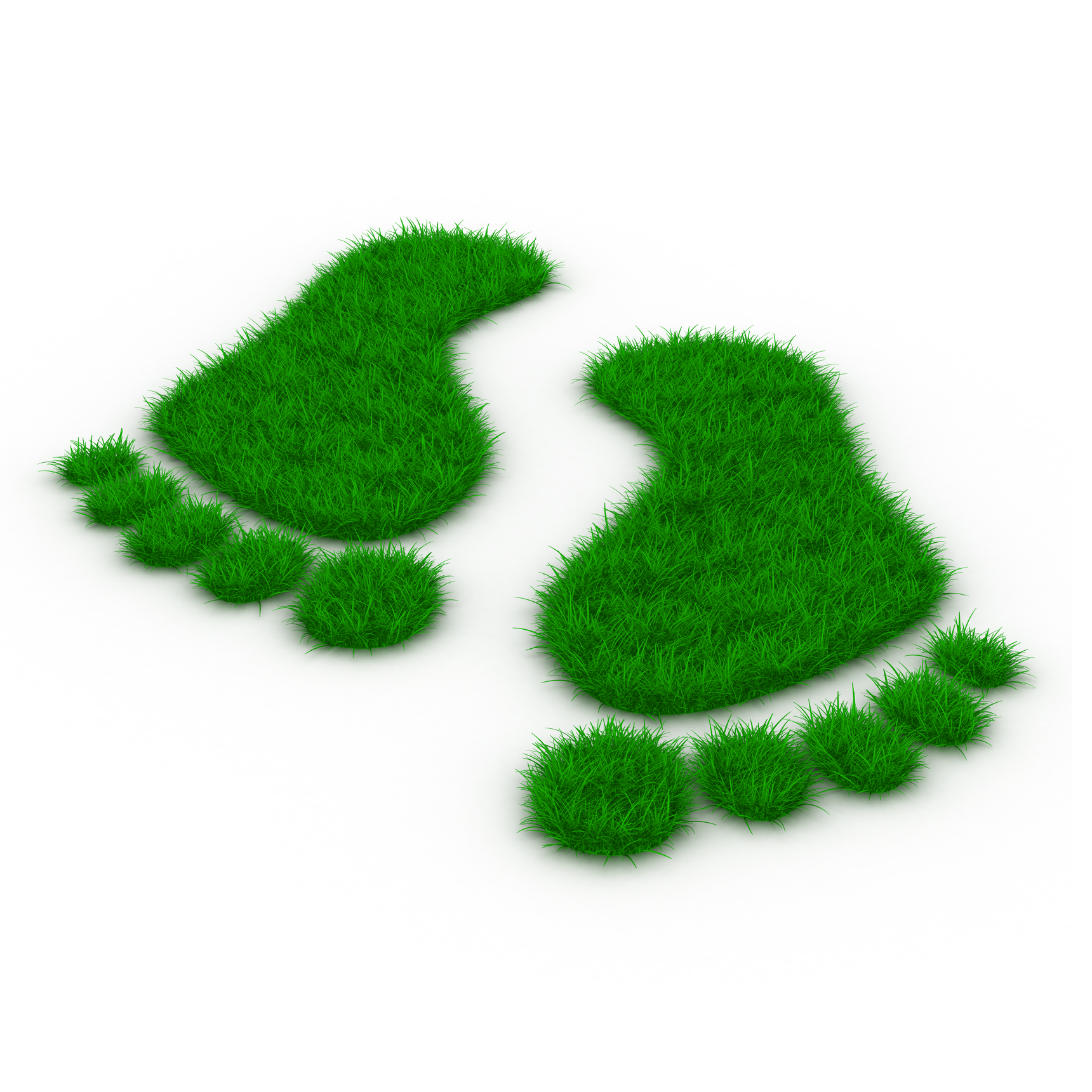 Topbillede - Green Steps