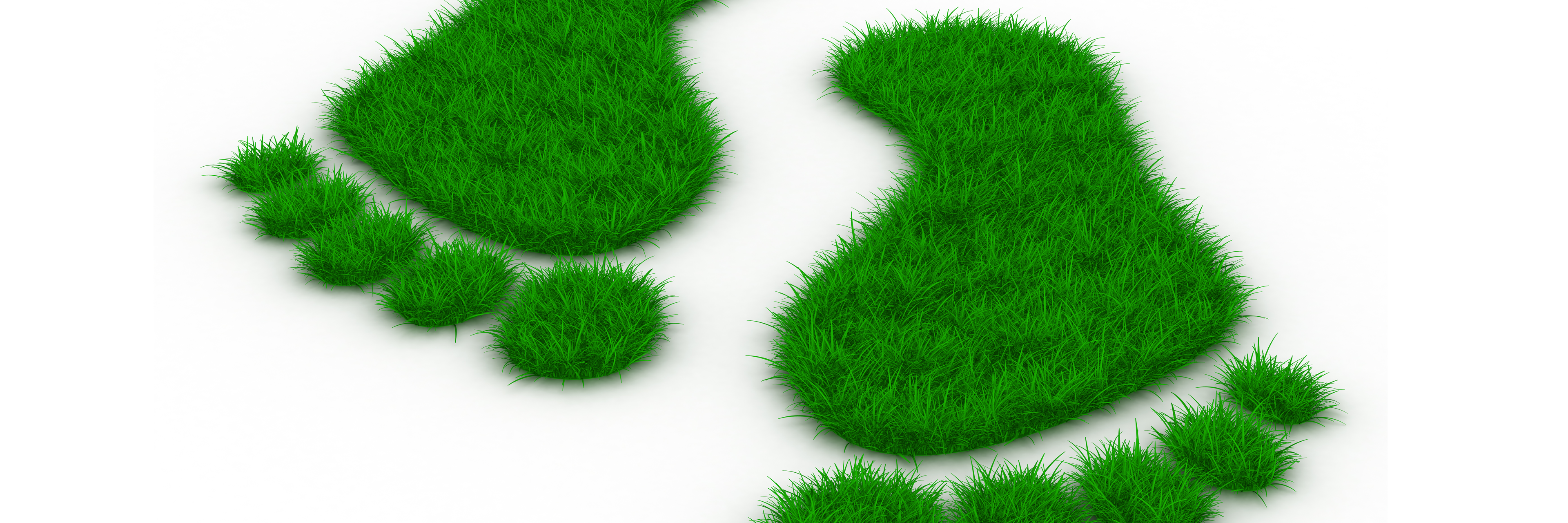 Topbillede - Green Steps