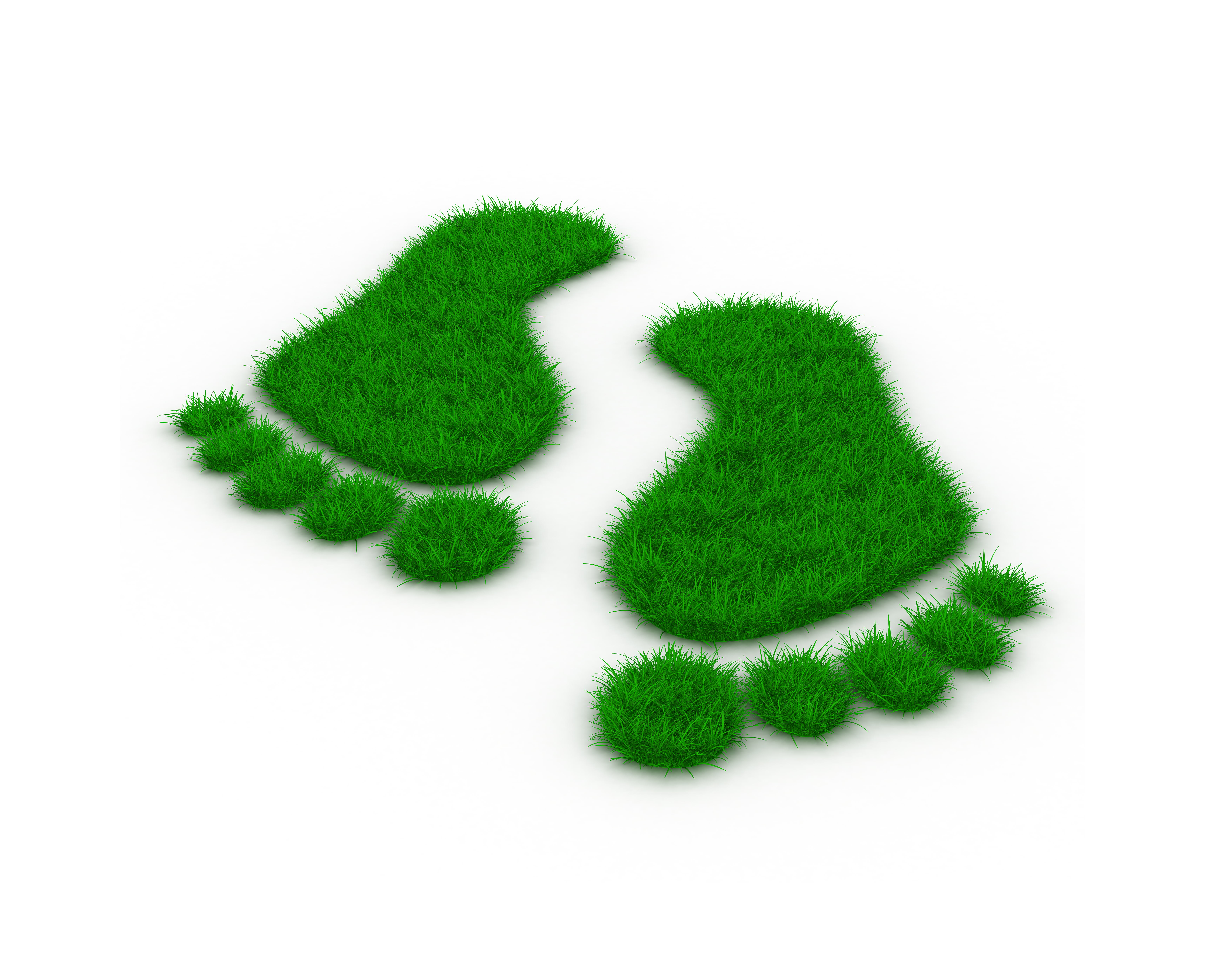 Topbillede - Green Steps